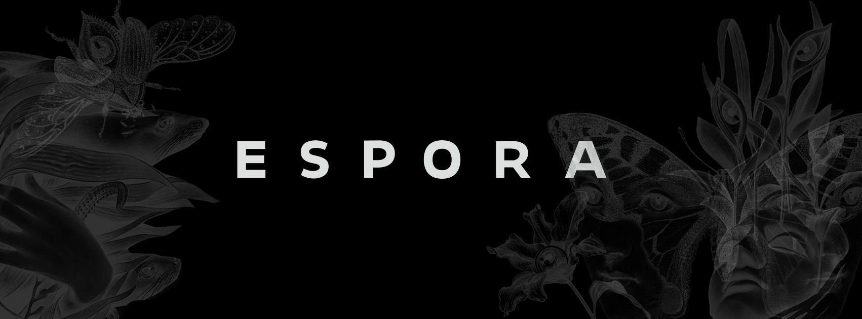 Portada 3 Revista Espora