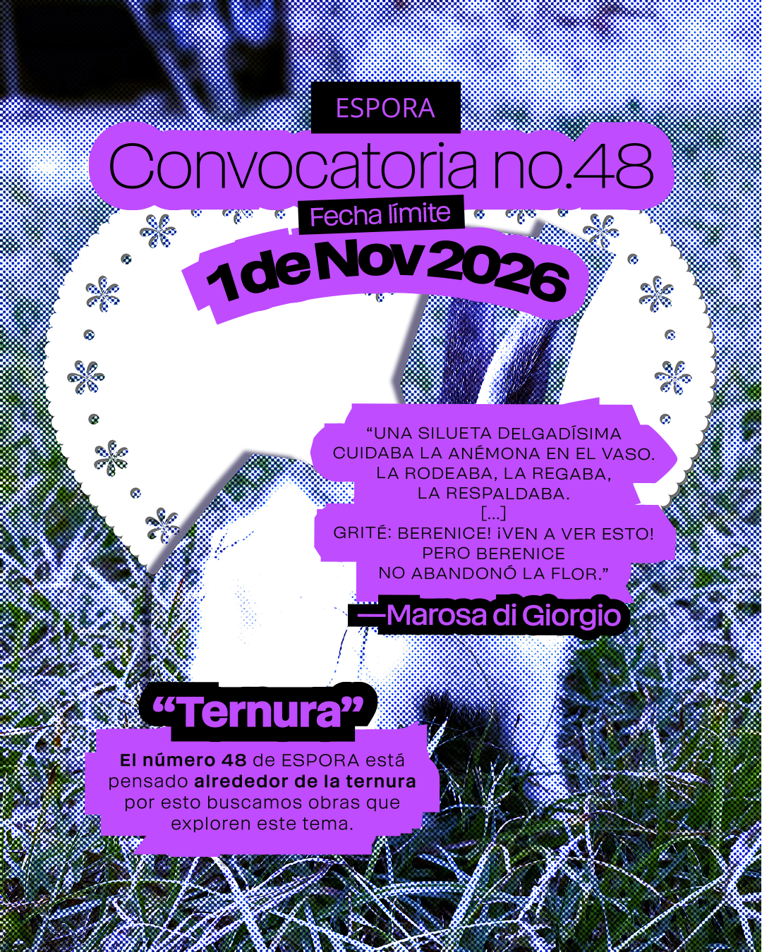 convocatoria no. 48